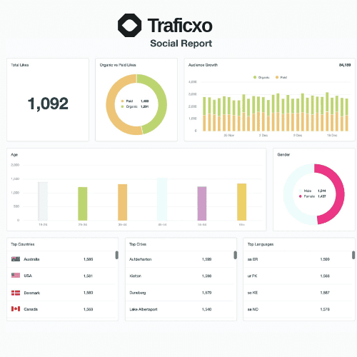 Audience Demographics Report